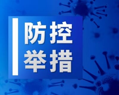 全市户政、车驾管、出入境暂停窗口业务受理， 武汉公安民生服务实行网上办、超期办、延期办